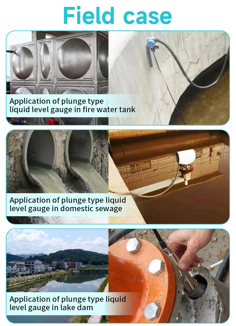 Hydrostatic Level Transmitter2
