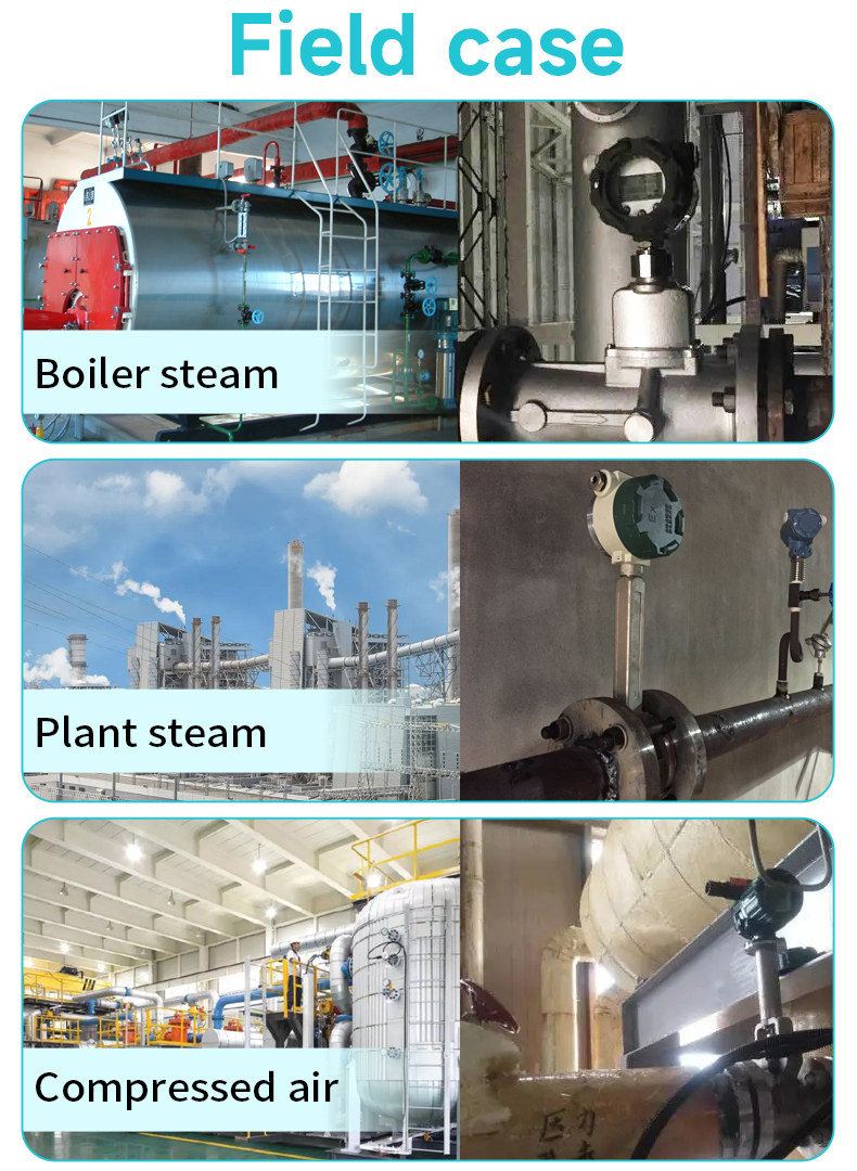Vortex Flowmeter2