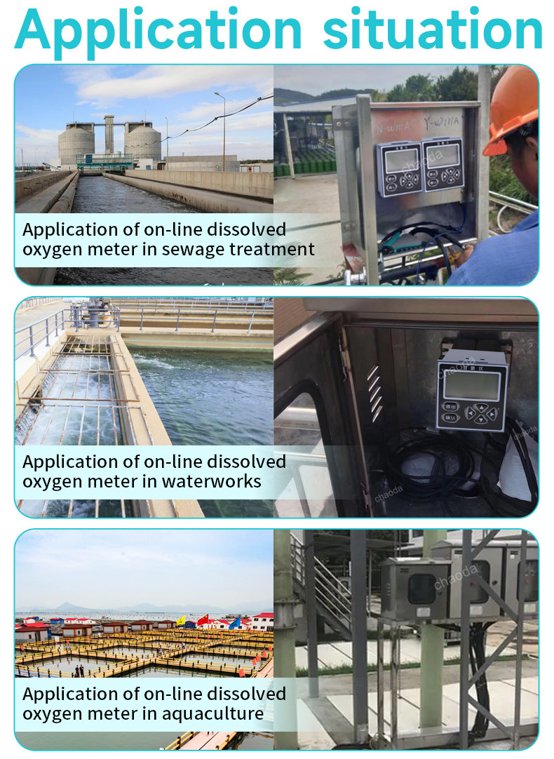 On-line Dissolved Oxygen Meter1